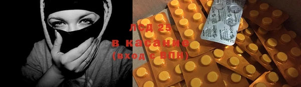 спиды Бородино