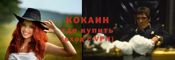 apvp Богородск