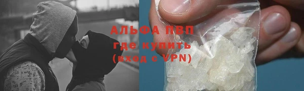 прущий лед Богданович