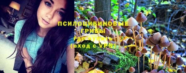 прущий лед Богданович