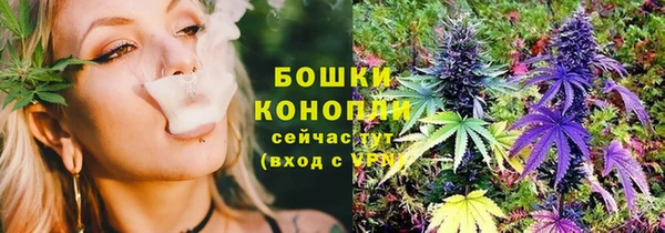 спиды Бородино