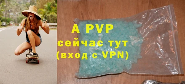 прущий лед Богданович