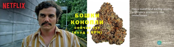 спиды Бородино